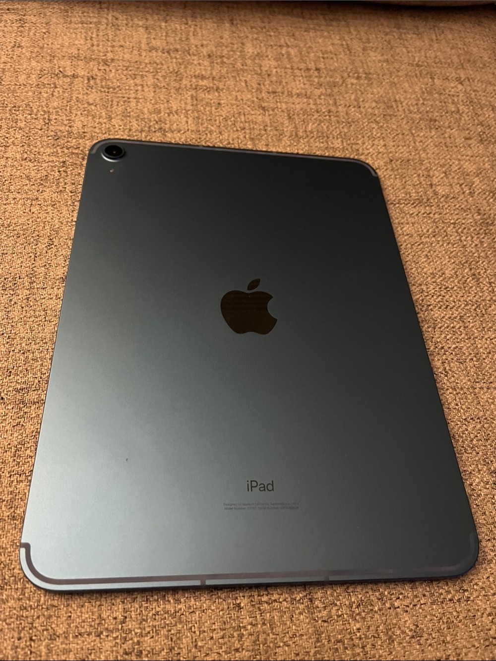 Apple 10 Generation iPad in light blue with silver Apple Logo